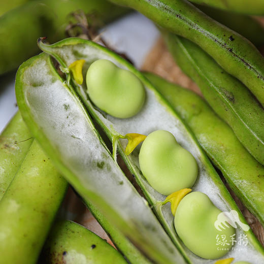 生态嫩蚕豆米（冷冻，临期）| 合作生产* Eco-broad bean | Coproduction 商品图3