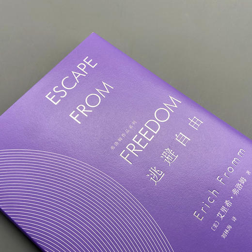 逃避自由 商品图1