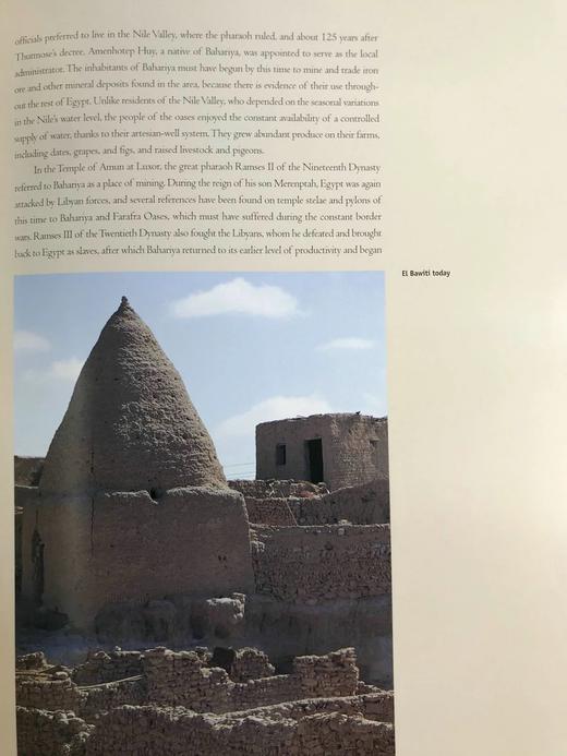 黄金木乃伊谷 300幅插图（260幅彩色） 精装大16开 商品图10