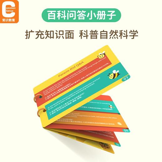 澳大利亚MuseZoo儿童益智桌游 构建几何闯关游戏 蜜蜂总动员 5岁以上 商品图4