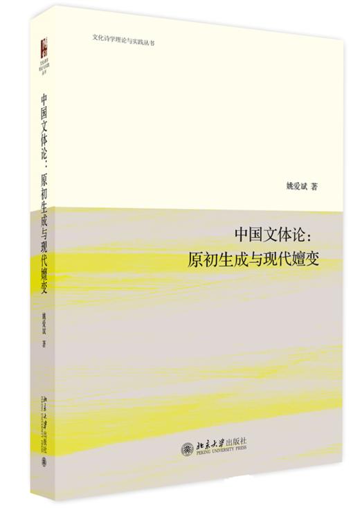 中国文体论：原初生成与现代嬗变 姚爱斌 北京大学出版社 商品图0