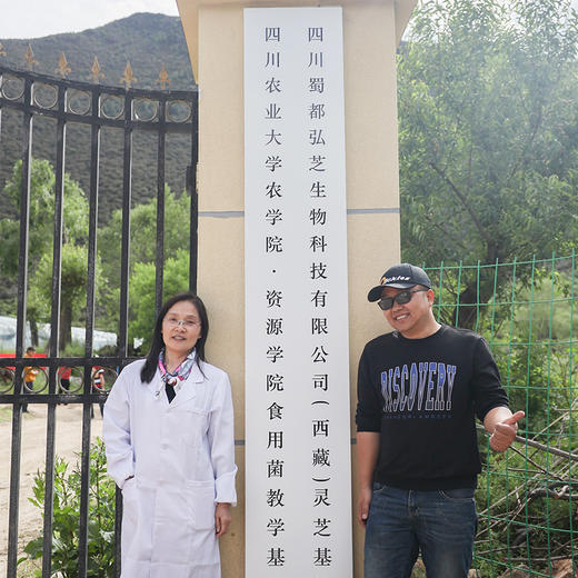 【破壁灵芝孢子粉】川农蒋教授科研成果 西藏仿野生培育 有效成分首屈一指 商品图3