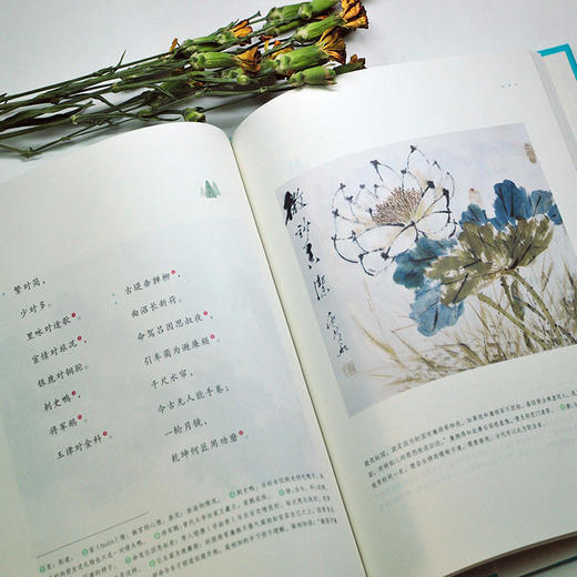 (仓发) 声律启蒙：和孩子共读的国学启蒙/北京联合出版公司/[清]车万育，芥子国出品/9787559605993 商品图3