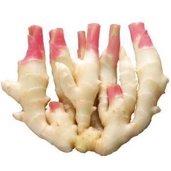 仔姜/斤 商品图0