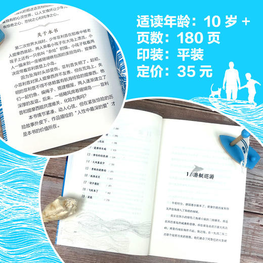 珊瑚岛 接力国际大奖儿童文学书系  商品图4