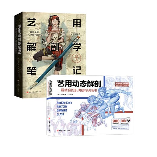 【内文赠46集视频课程】艺用动态解剖+艺用解剖学笔记 描绘画教学基础漫威插画师金乐熹韩国大触石政贤伯里曼 人体结构解剖绘画 商品图4