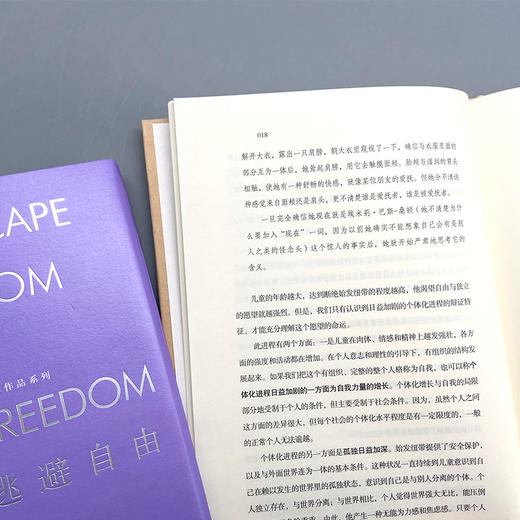 逃避自由 商品图4