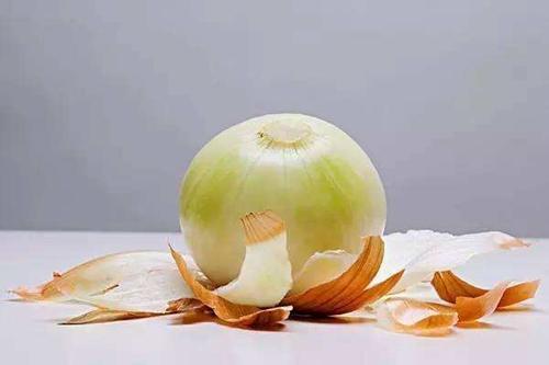 白洋葱1斤 约2个 商品图0