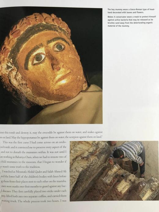 黄金木乃伊谷 300幅插图（260幅彩色） 精装大16开 商品图11