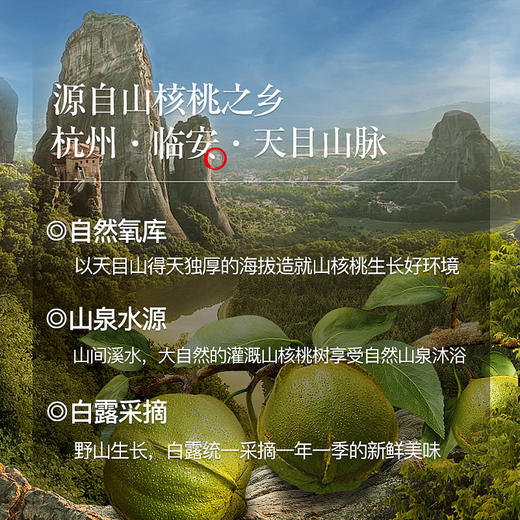 姚生记山核桃仁伴手礼120克 新版包装 商品图3