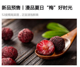  新品预售丨漫品夏日“梅”好时光 