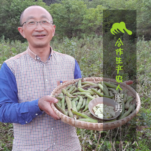 生态嫩蚕豆米（冷冻，临期）| 合作生产* Eco-broad bean | Coproduction 商品图1