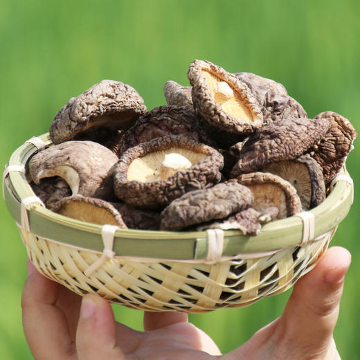 [最农公社]福建古田农家香菇生态种植香菇干货无根香菇冬菇肉厚新货 商品图2