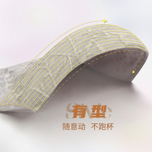 贝佳人“南法假日”3/4中厚模杯围文胸-BW912207 商品图3