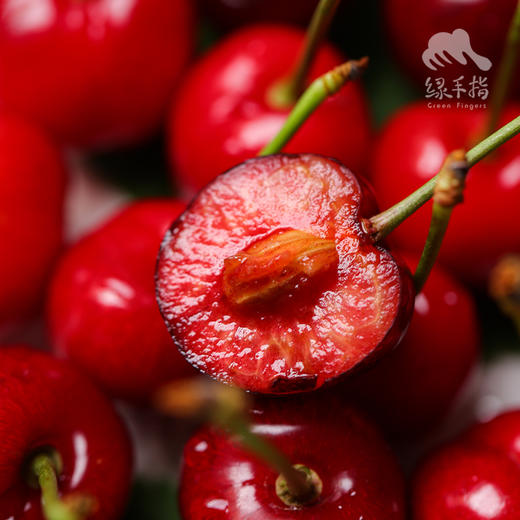 生态陕西樱桃 | 合作生产 * Ecological cherry | Coproduction 商品图4