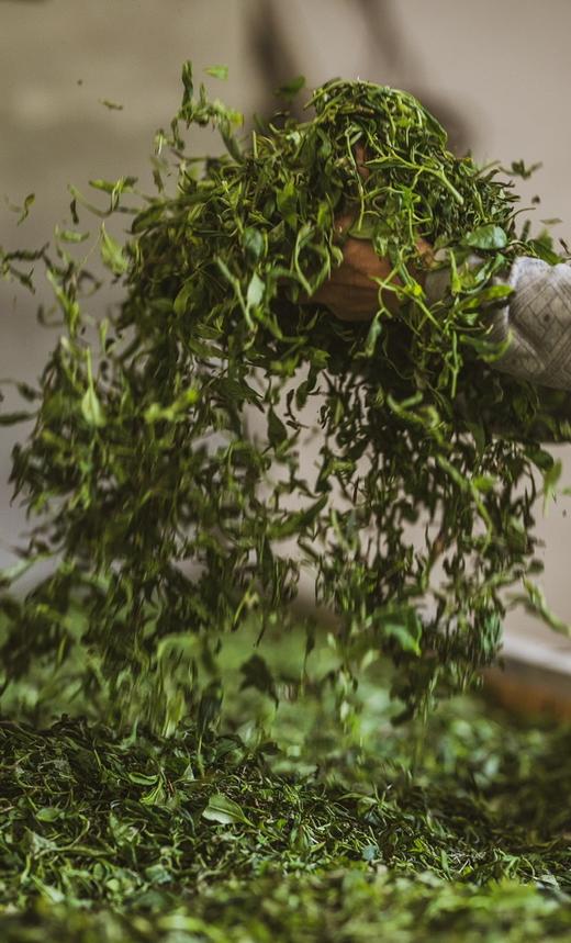 2025新茶桐木兰香小种红茶 - 大金砖礼盒装 商品图6