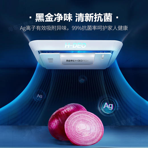 【大冷冻室巨能囤】海尔冰箱双开门515升对开门家用双门一级能效双变频超薄大容量风冷无霜节能电冰箱 一级变频丨黑金净化 巨能冻系列 商品图4