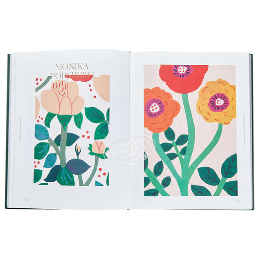 预售 【中商原版】灵感:自然艺术插画 英文原版 Botanical Inspiration 商品图7