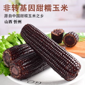 有机黑甜糯/高叶酸玉米220g/根彩箱装 高山生态有机种植 满满花青素 富含叶酸 全家爱吃