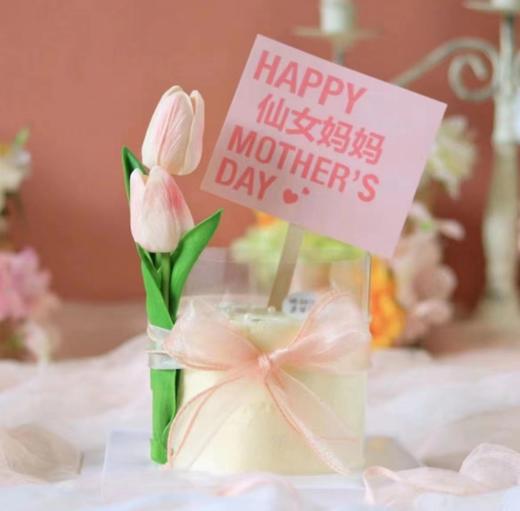 仙女妈妈 商品图0