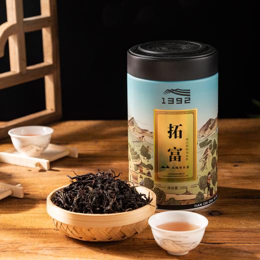 天池茶业 拓富 乌岽山凤凰单丛茶 100克 商品图2