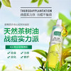 澳洲 星期四农庄 茶树油精油凝胶  25g 包装随机-F 商品缩略图0