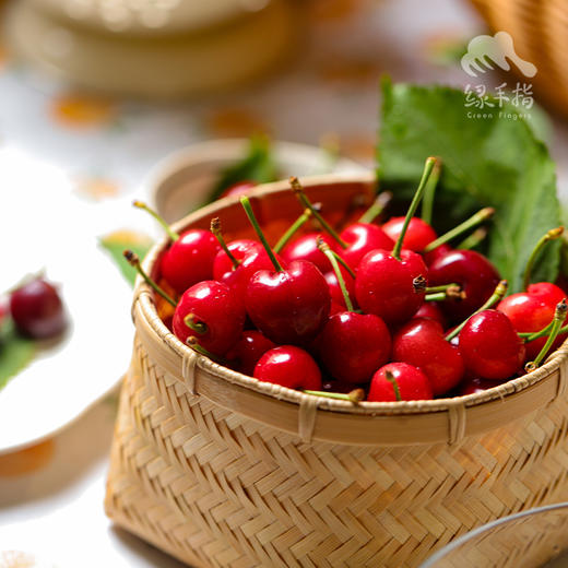 生态陕西樱桃 | 合作生产 * Ecological cherry | Coproduction 商品图6