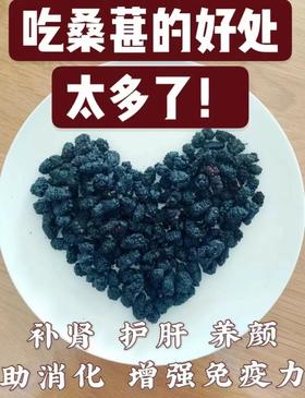 民间圣果黑桑葚干，一起get养生好物！