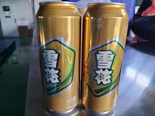 雪花啤酒 500ml*9听 商品图0