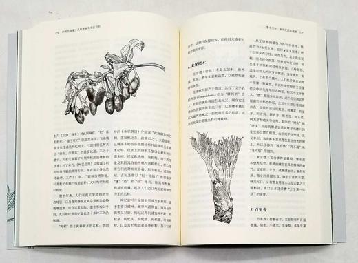 《中国的蔬菜：名称考释与文化百科》，平装，16开，张平真著，北京联合出版公司2022年版，472页，定价98，售价66元。非偏远地区包邮。3天左右发货。

本书由从事蔬菜、副食工作数十年的资深蔬菜研 商品图11