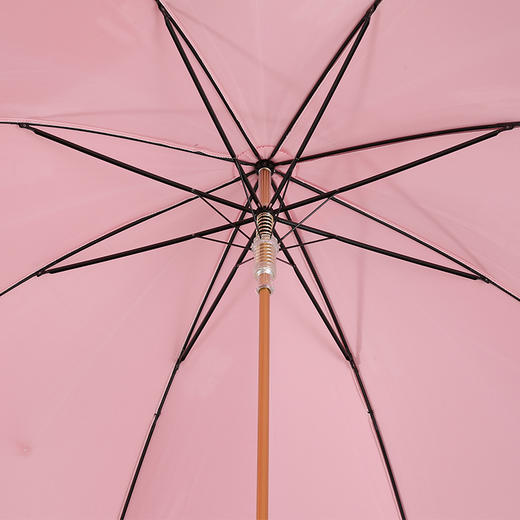 PASOTTI 意大利手工青色花朵珐琅彩绘花栗鼠手柄限量女直柄晴雨伞WLX34 商品图3