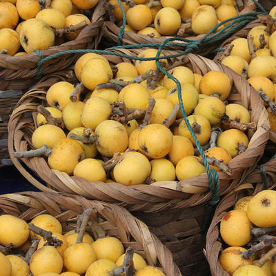 时令尝鲜上市仅2周 超甜 苏州东山白玉枇杷5斤装 【5月12号起发货】 商品图0