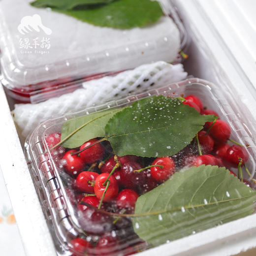 生态陕西樱桃 | 合作生产 * Ecological cherry | Coproduction 商品图5