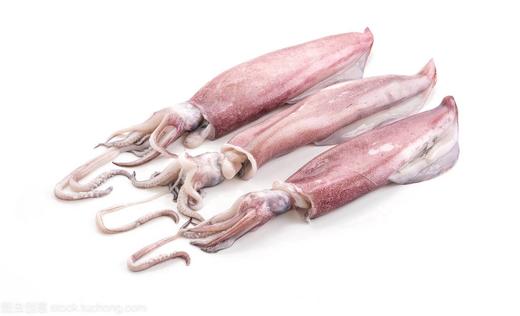 鱿鱼 1条约8两 商品图0