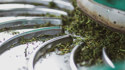 2025新茶桐木兰香小种红茶 - 大金砖礼盒装 商品图7