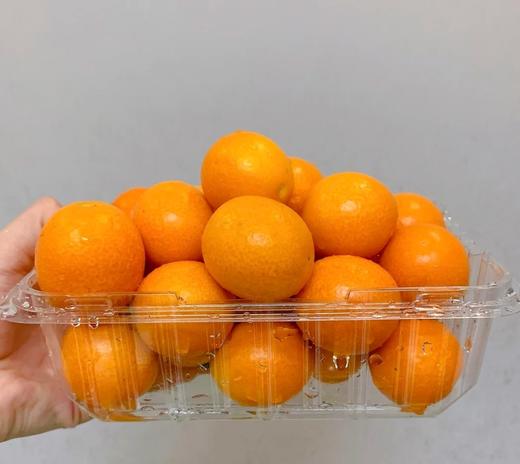 桂林 黄金桔特大 单斤 商品图0