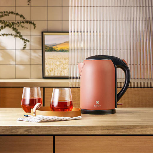 EGEK6010 电水壶 商品图1