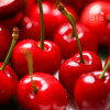 生态陕西樱桃 | 合作生产 * Ecological cherry | Coproduction 商品缩略图0