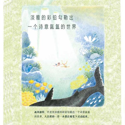 星期天的秘密 商品图4