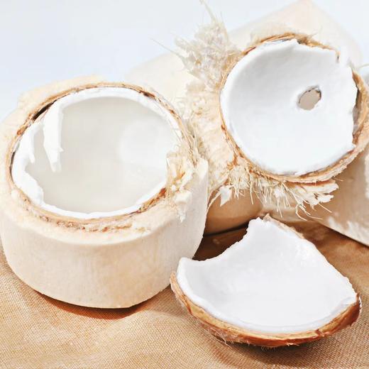 椰青6只/箱 商品图0