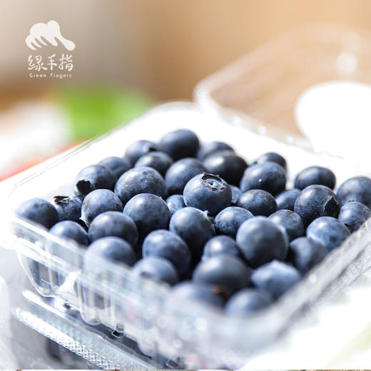 有机云南蓝莓| 合作生产*Organic blue berry | Coproduction 商品图2