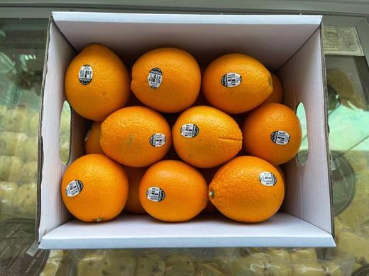 3107橙子18只/箱 商品图1