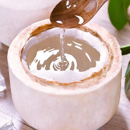 椰青6只/箱 商品图1