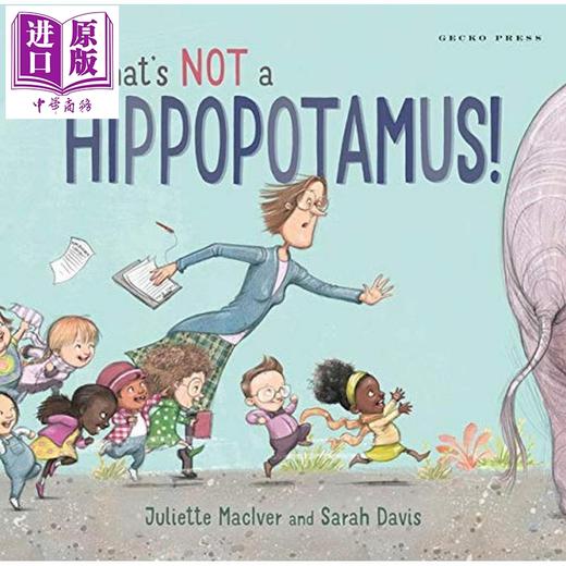 【中商原版】Not a Hippopotamus 那不是河马 英文原版 进口原版 3岁到7岁 儿童图画书 Juliette MacIver 商品图0