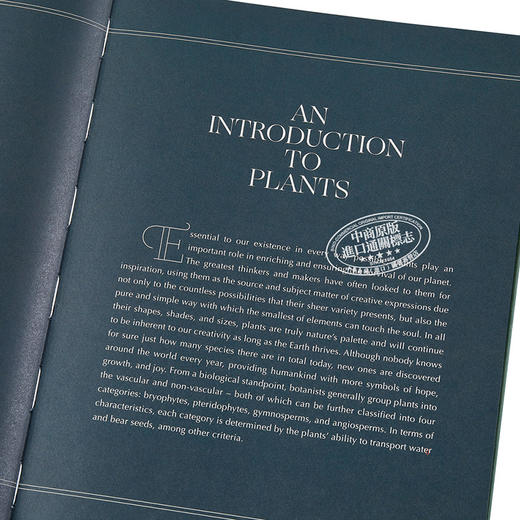 预售 【中商原版】灵感:自然艺术插画 英文原版 Botanical Inspiration 商品图3
