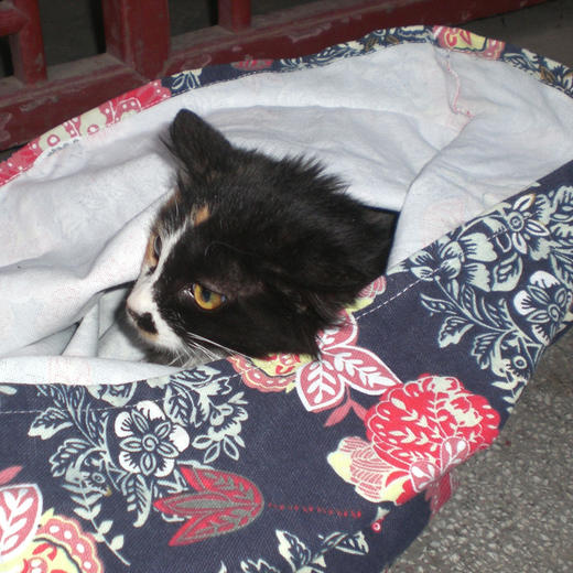 幸运土猫｜转移布袋 流浪猫TNR专用工具  轻便牢固安全易清洗 商品图8