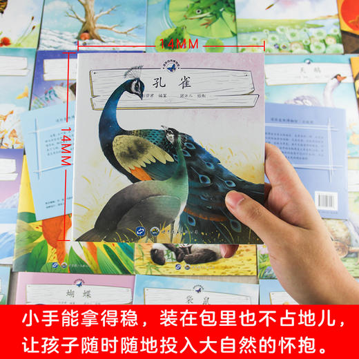 亲近大自然（全40册）2岁+ 40种动植物  开启孩子阅读大自然的奇妙之旅 商品图7