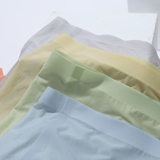 【3条装】康妮雅女式三角裤*3条装 商品图2