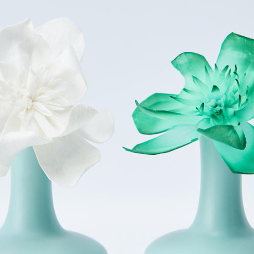 【控价】节气盒子香薰 木兰坠露扩香套组/龙井问茶/白桃乌龙香氛礼盒 商品图5