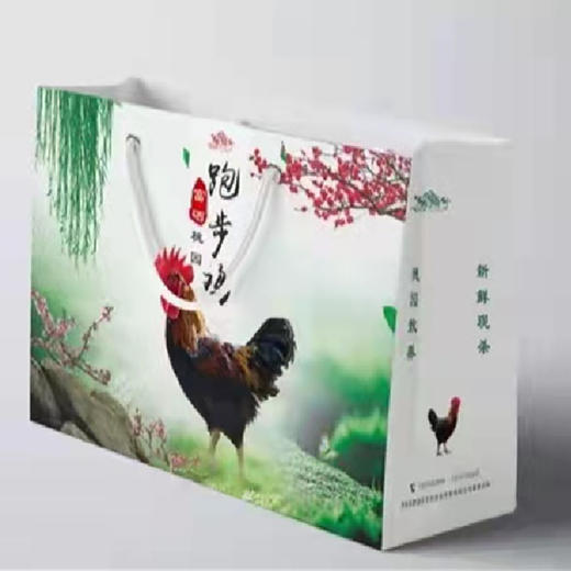 （乡村振兴商品）咸丰 土家跑步鸡鲜鸡 商品图0
